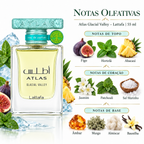 Notas olfativas do perfume Lattafa Atlas Glacial Valley 55 ml
