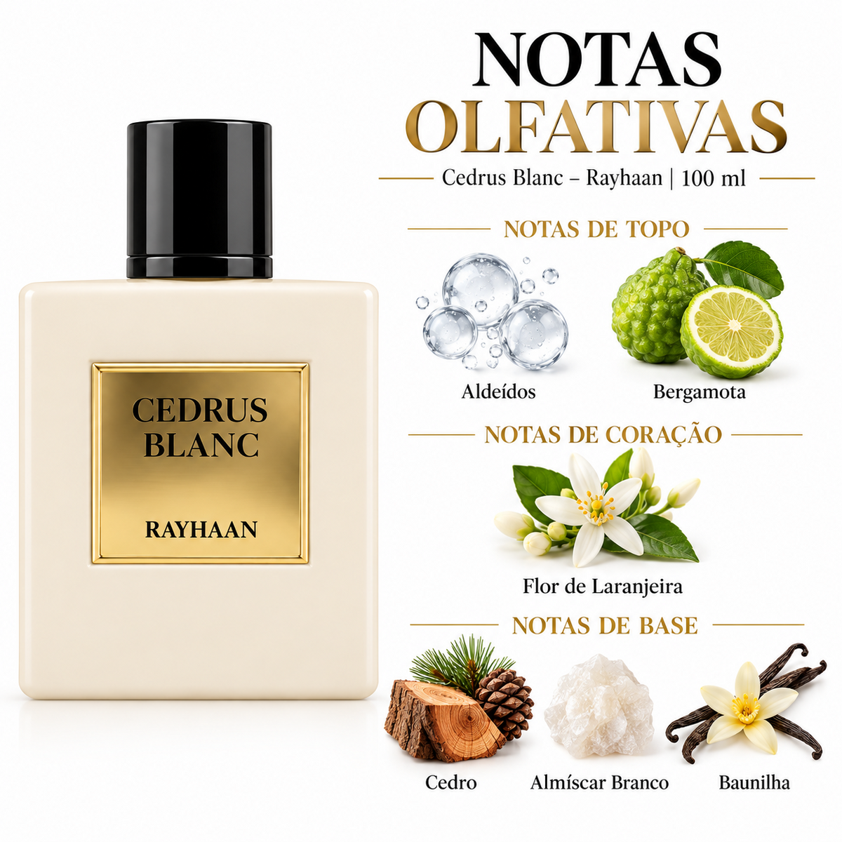 Notas olfativas do perfume Rayhaan Cedrus Blanc 100 ml